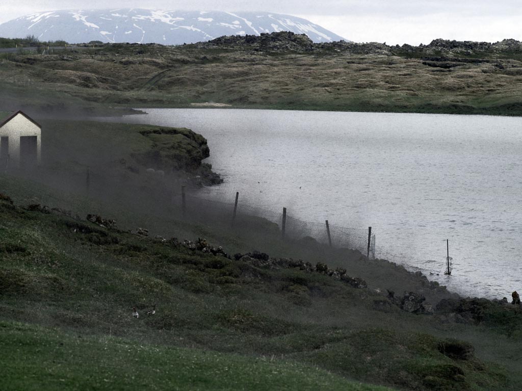 Pentax 645D / 6 Pentax 645D   6