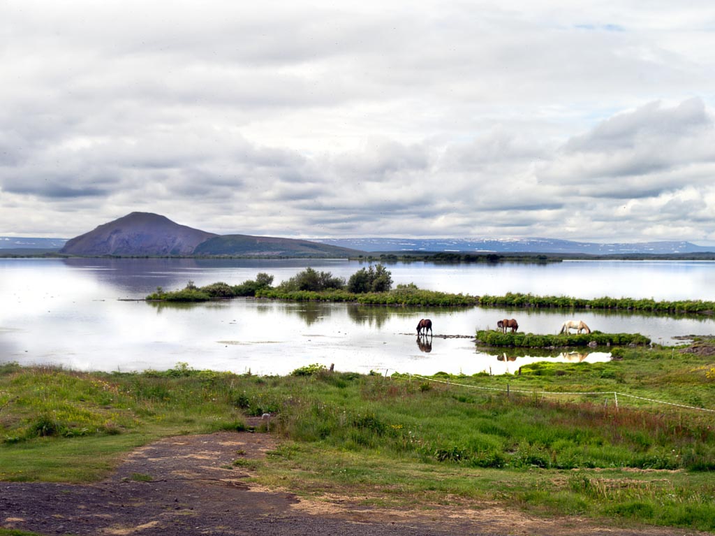 Pentax 645D / 13 Pentax 645D   13