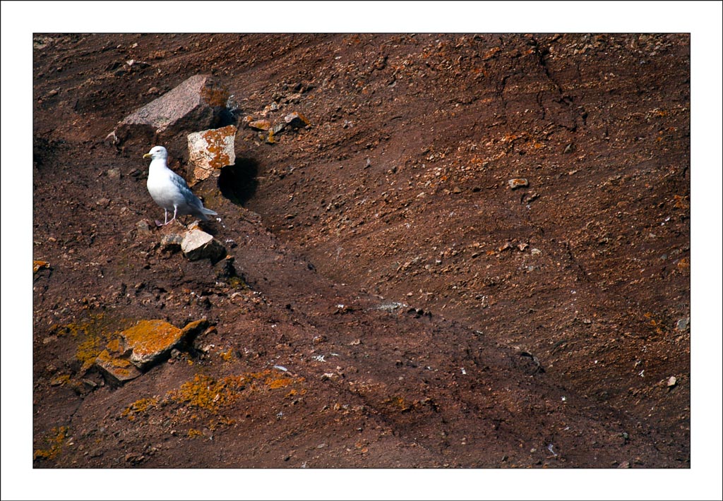 Pentax K-5 / 29 Pentax K-5   29