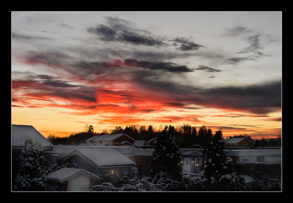 Pentax 645D / 31 Pentax 645D   31