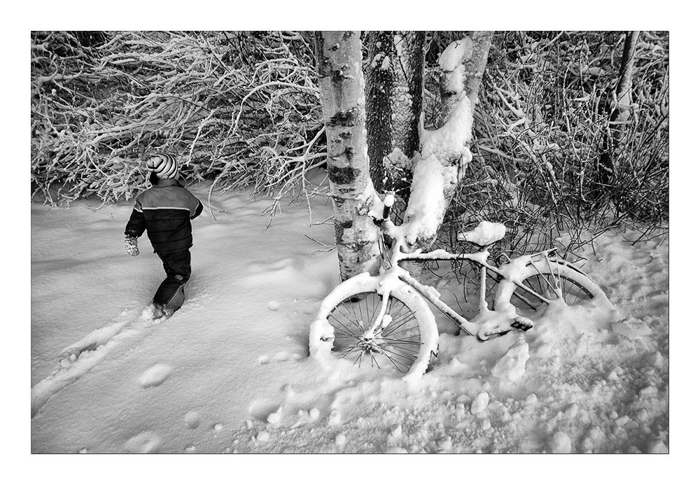 Pentax K-5 / 10 Pentax K-5   10