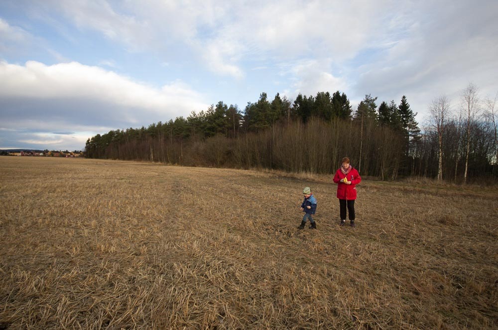 Pentax K-5 / 2 Pentax K-5   2