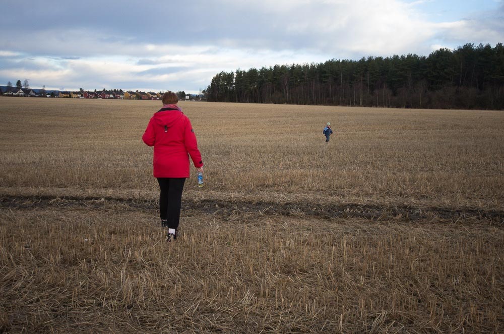 Pentax K-5 / 2 Pentax K-5   2