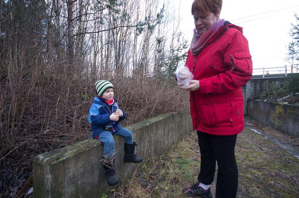 Pentax K-5 / 2 Pentax K-5   2