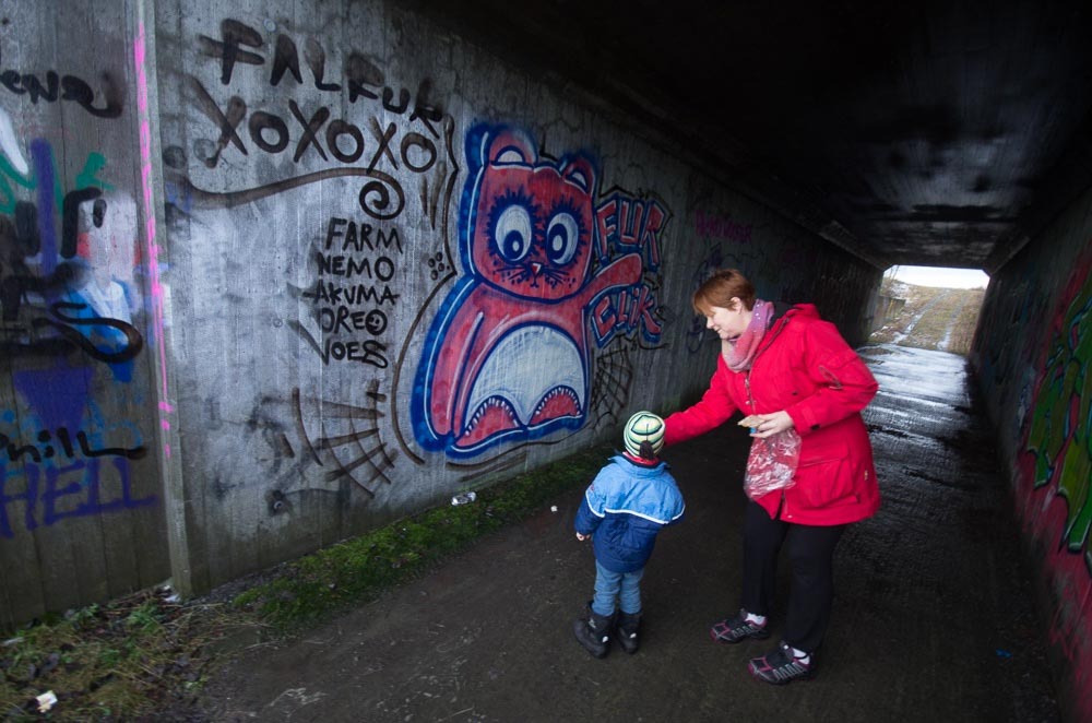 Pentax K-5 / 2 Pentax K-5   2