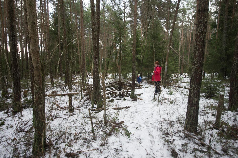 Pentax K-5 / 2 Pentax K-5   2