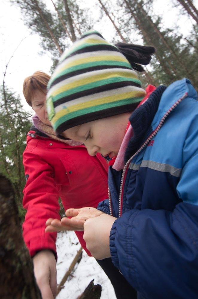 Pentax K-5 / 2 Pentax K-5   2