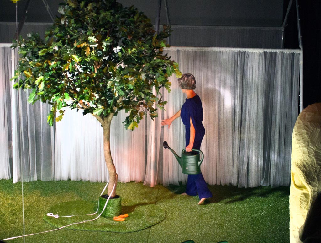 Pentax K-5 / 26 Pentax K-5   26