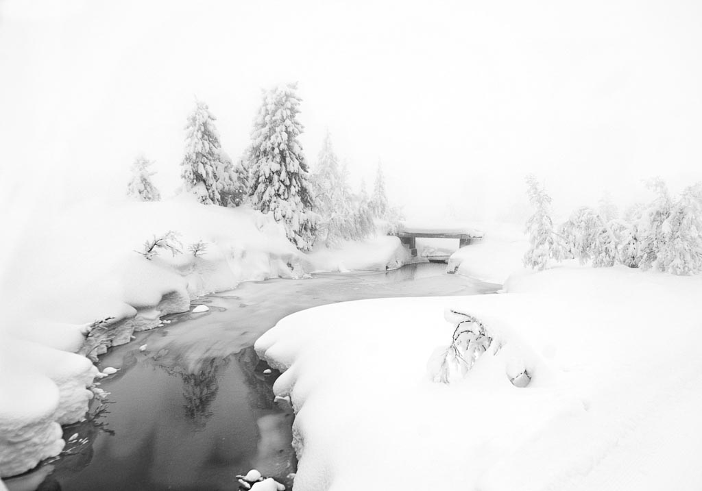 Pentax K-5 / 24 Pentax K-5   24