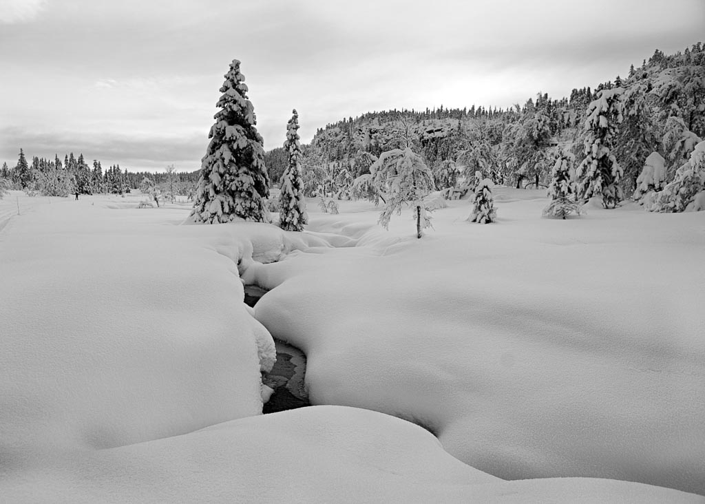 Pentax K-5 / 23 Pentax K-5   23