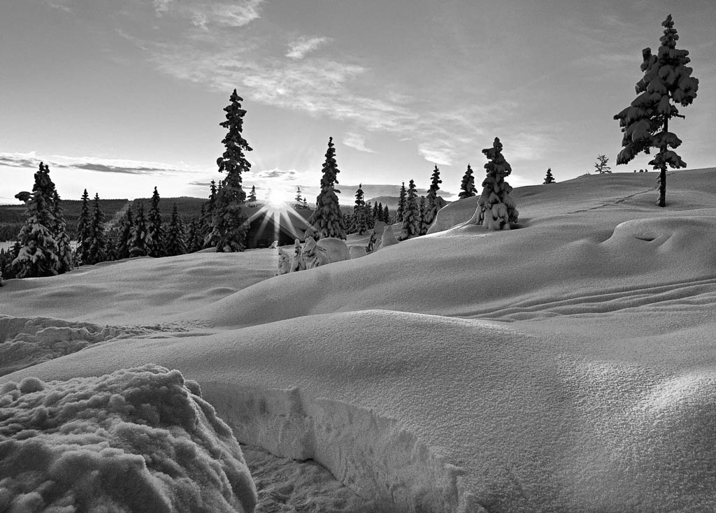 Pentax K-5 / 23 Pentax K-5   23