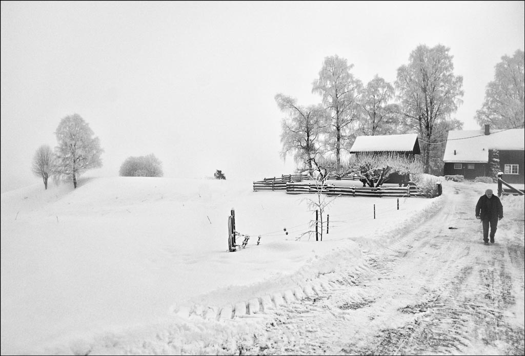 Pentax K-5 / 25 Pentax K-5   25