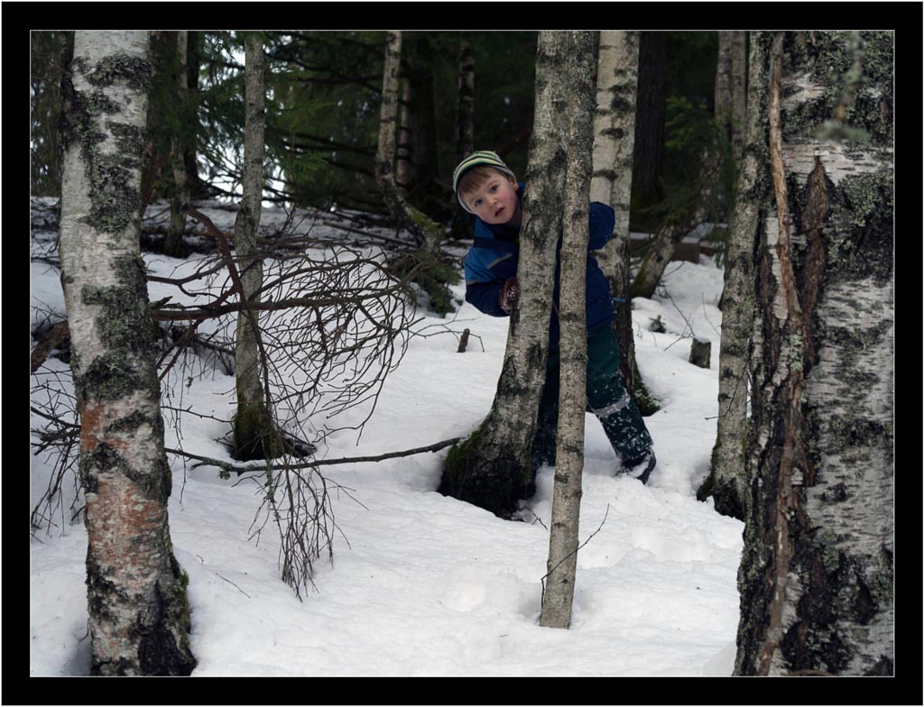 Pentax 645D / 31 Pentax 645D   31