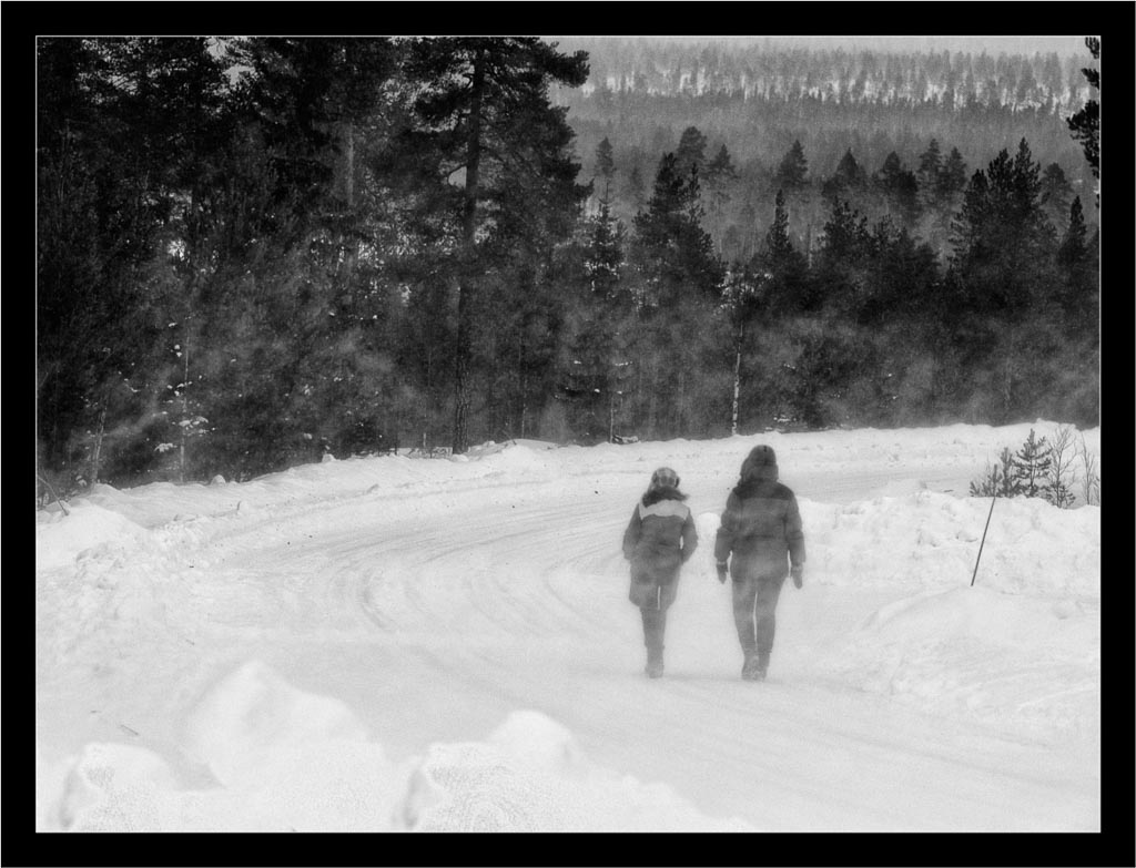 Pentax 645D / 7 Pentax 645D   7