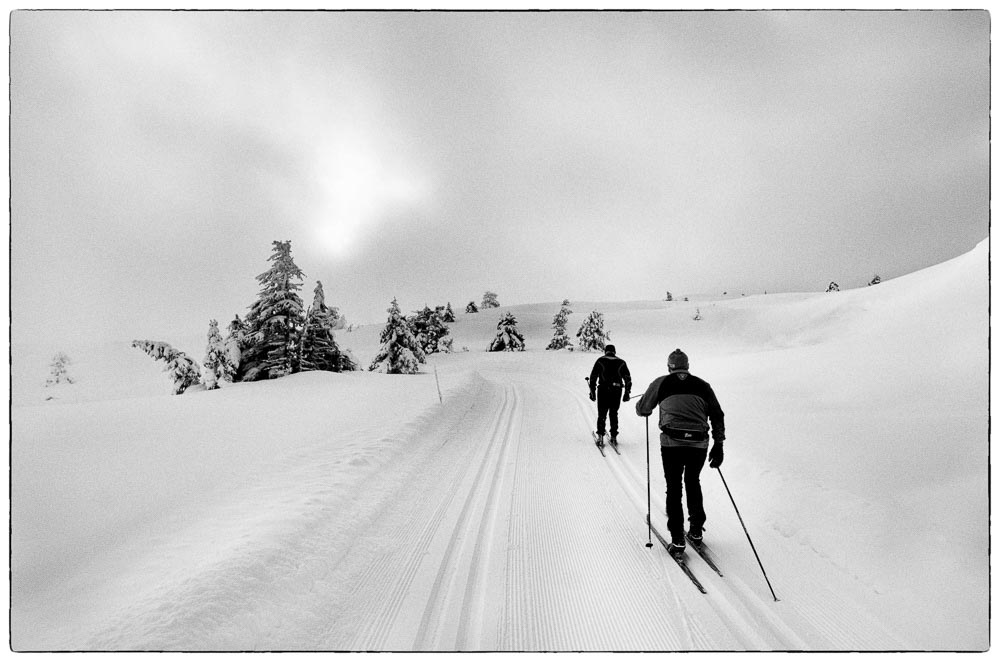 Pentax K-5 / 24 Pentax K-5   24