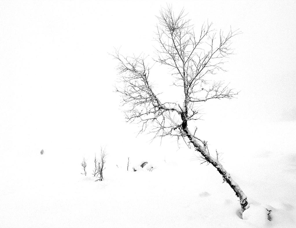 Pentax K-5 / 6 Pentax K-5   6