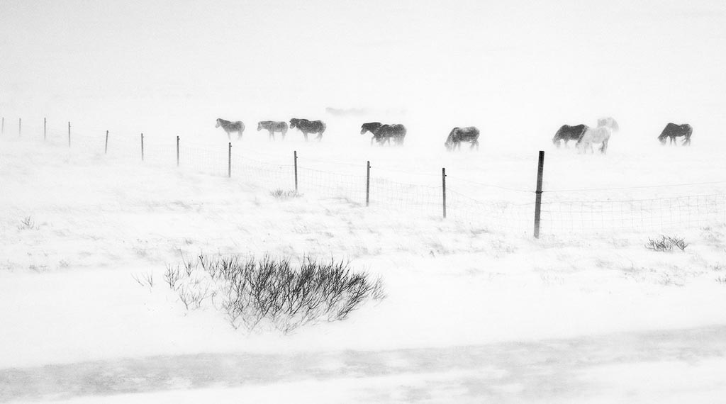 Pentax 645D / 23 Pentax 645D   23