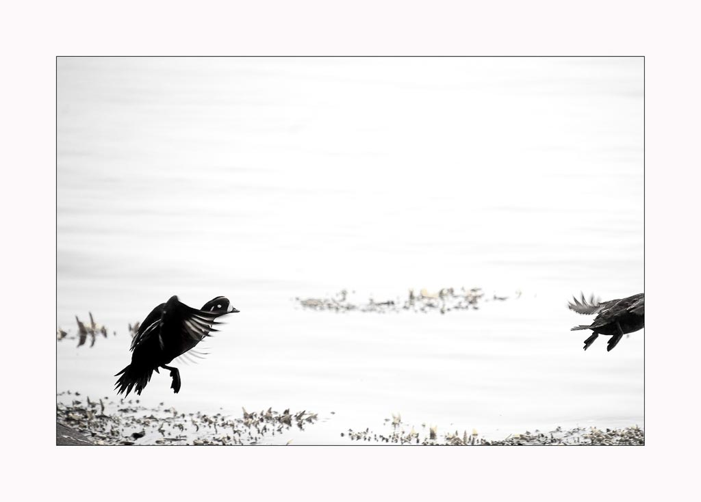 Pentax K-5 / 10 Pentax K-5   10