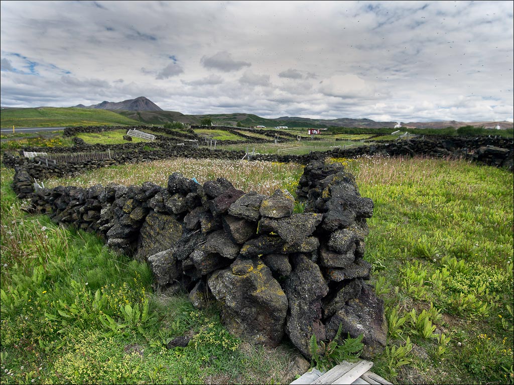 Pentax 645D / 13 Pentax 645D   13