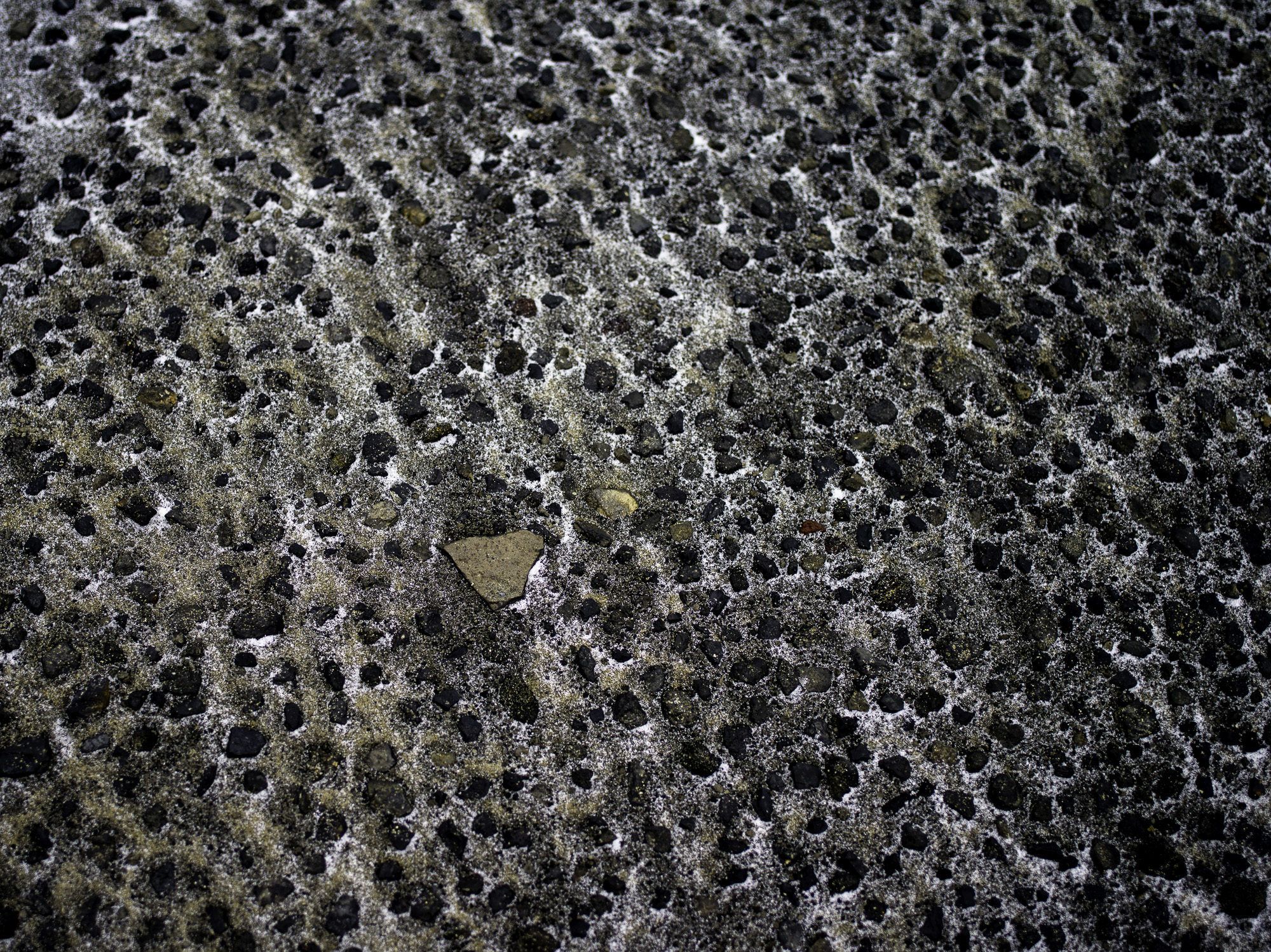 Pentax 645D / 31 Pentax 645D   31