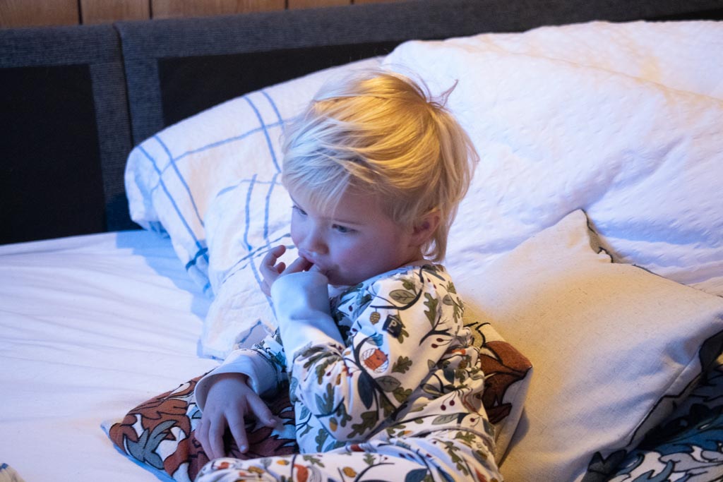 Pentax K-1 / 1 Pentax K-1   1