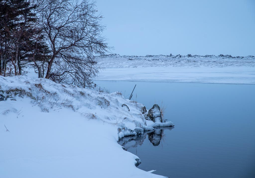 Pentax K-1 / 4 Pentax K-1   4