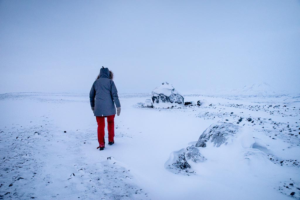 Pentax K-1 / 4 Pentax K-1   4