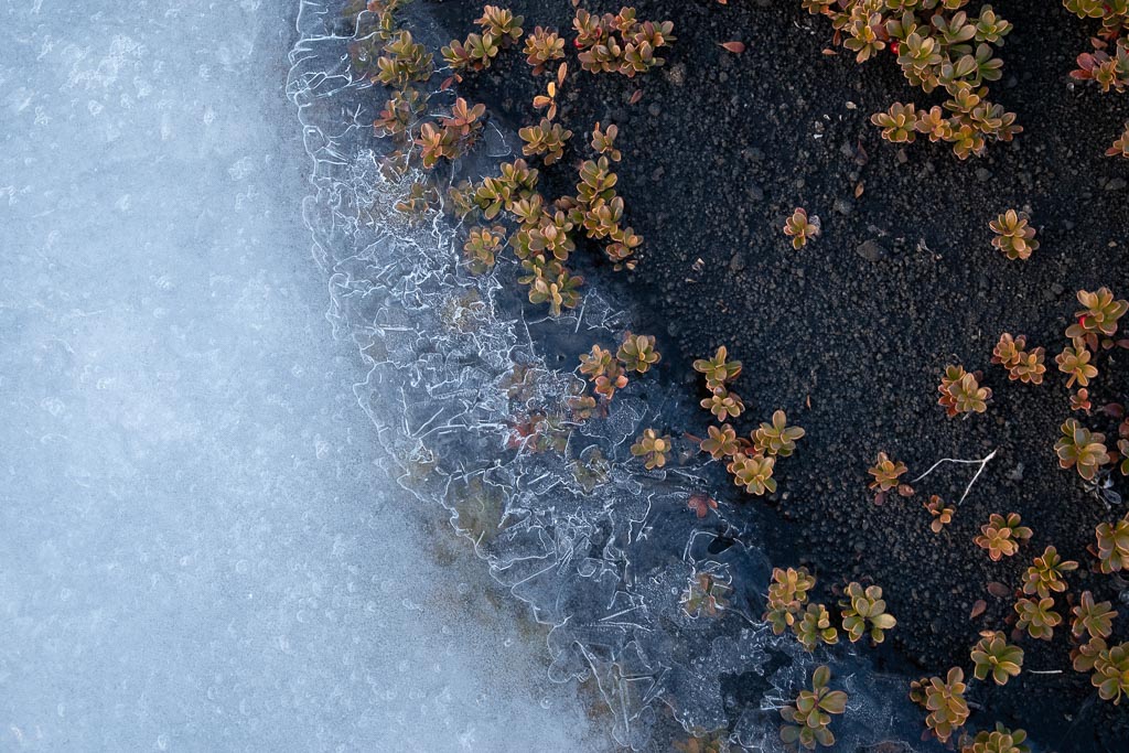 Pentax K-1 / 18 Pentax K-1   18