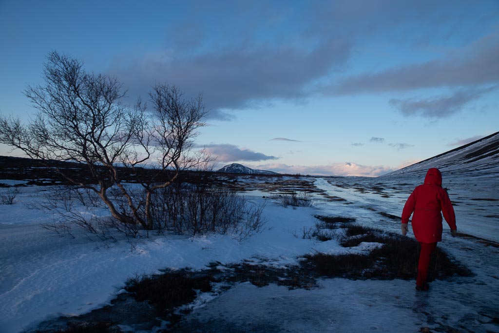 Pentax K-1 / 18 Pentax K-1   18