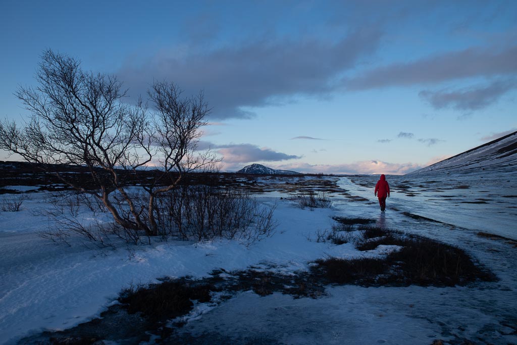 Pentax K-1 / 18 Pentax K-1   18