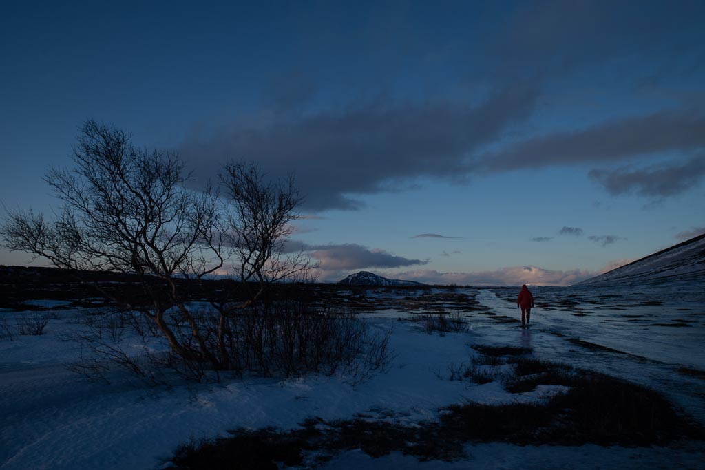 Pentax K-1 / 18 Pentax K-1   18
