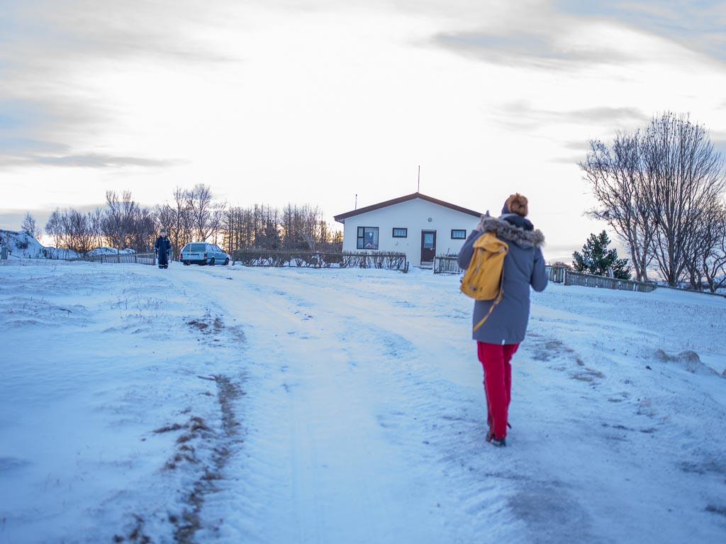 Pentax 645D / 5 Pentax 645D   5