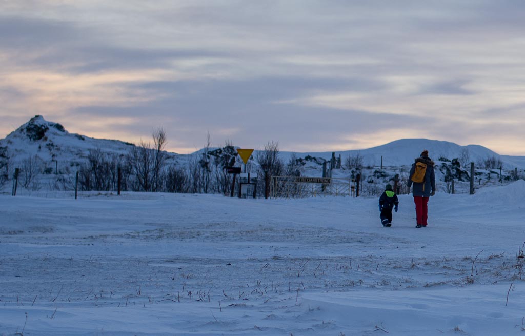 Pentax 645D / 5 Pentax 645D   5