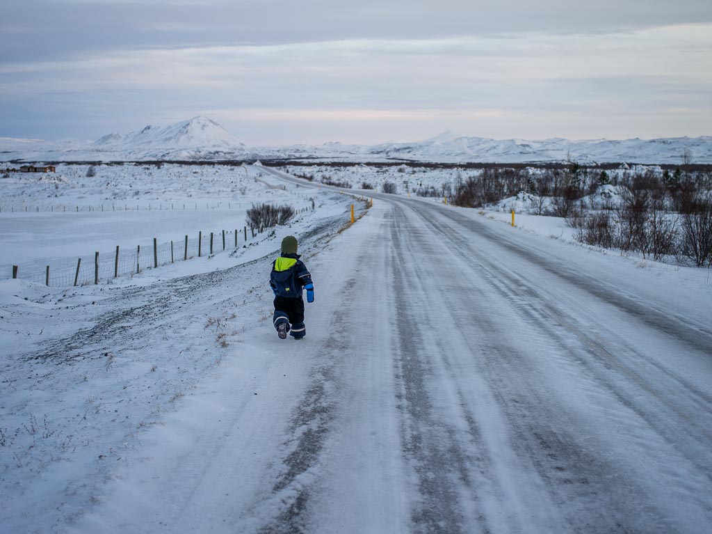 Pentax 645D / 5 Pentax 645D   5