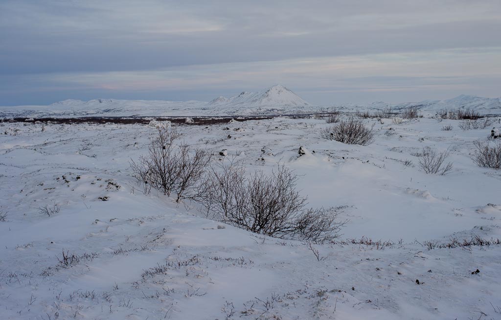 Pentax 645D / 5 Pentax 645D   5