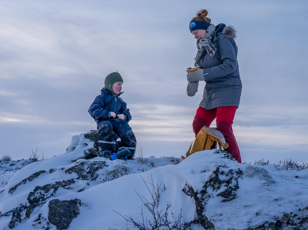 Pentax 645D / 5 Pentax 645D   5