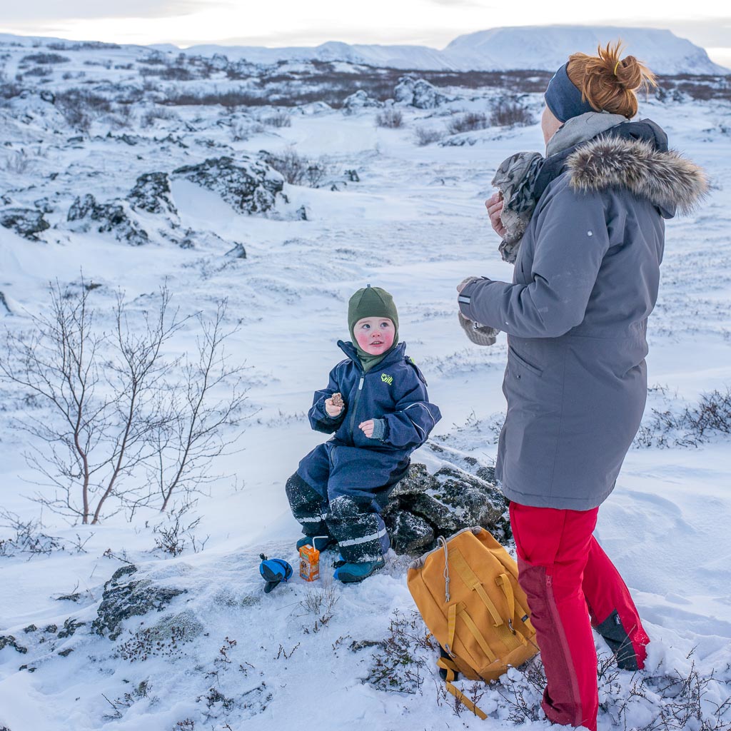 Pentax 645D / 5 Pentax 645D   5