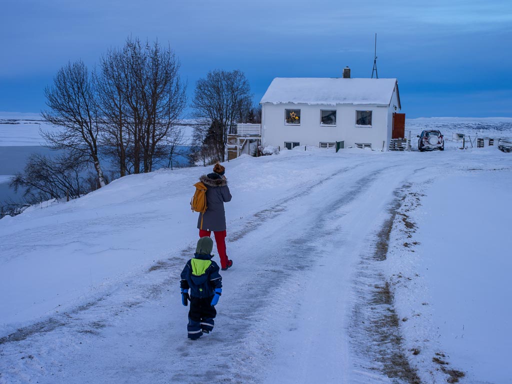 Pentax 645D / 5 Pentax 645D   5