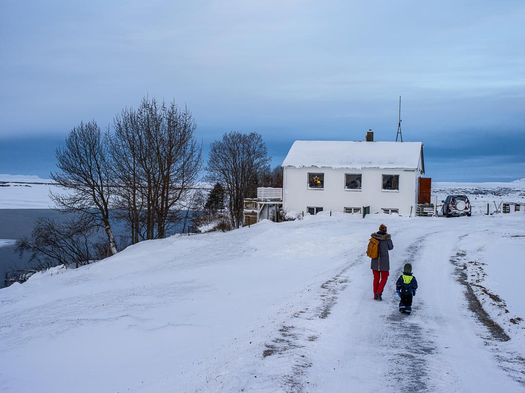 Pentax 645D / 5 Pentax 645D   5