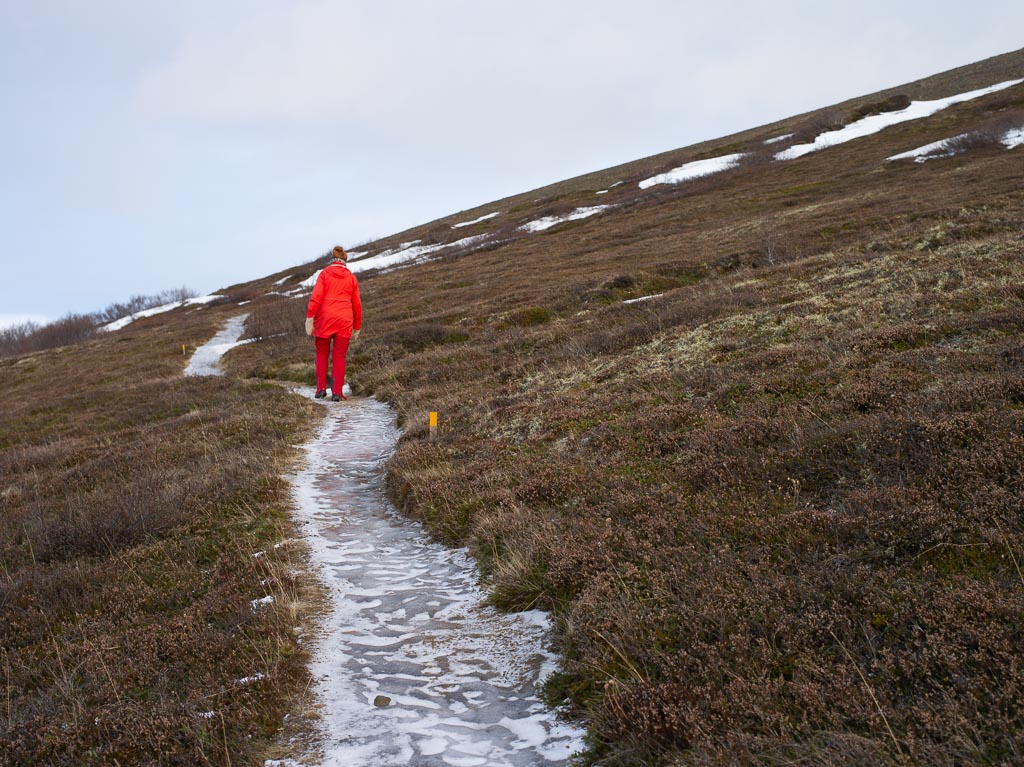 Pentax 645D / 27 Pentax 645D   27