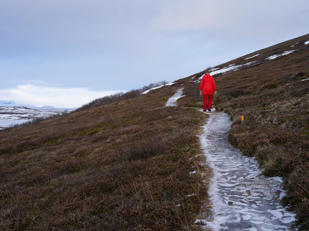 Pentax 645D / 27 Pentax 645D   27