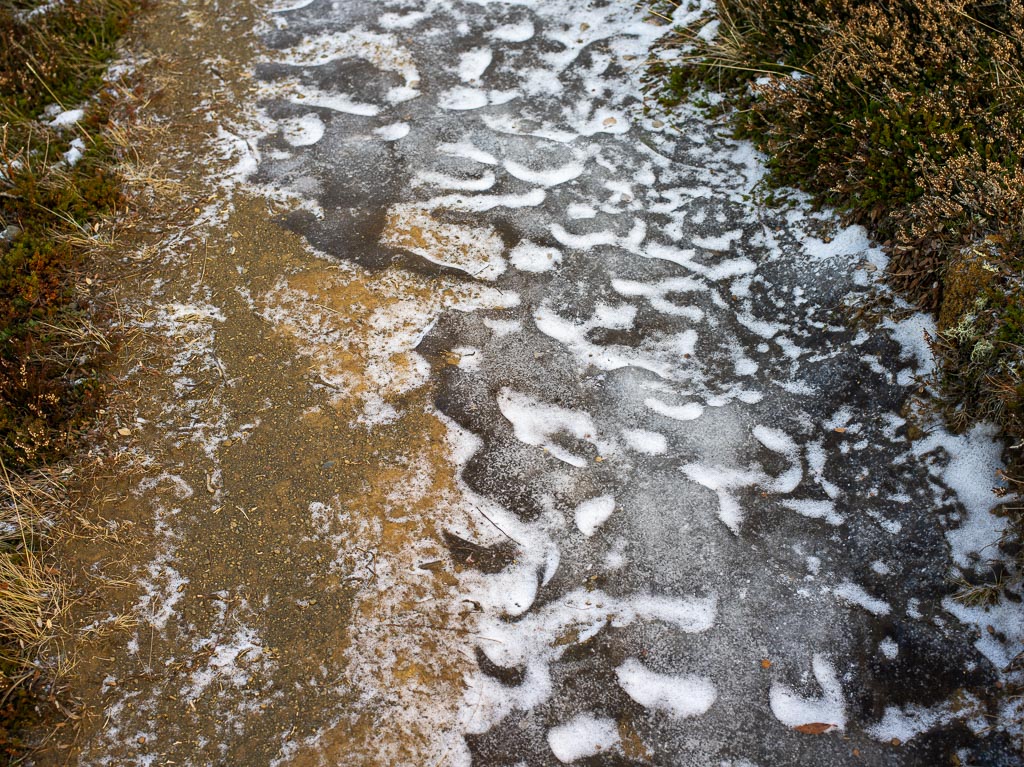 Pentax 645D / 27 Pentax 645D   27