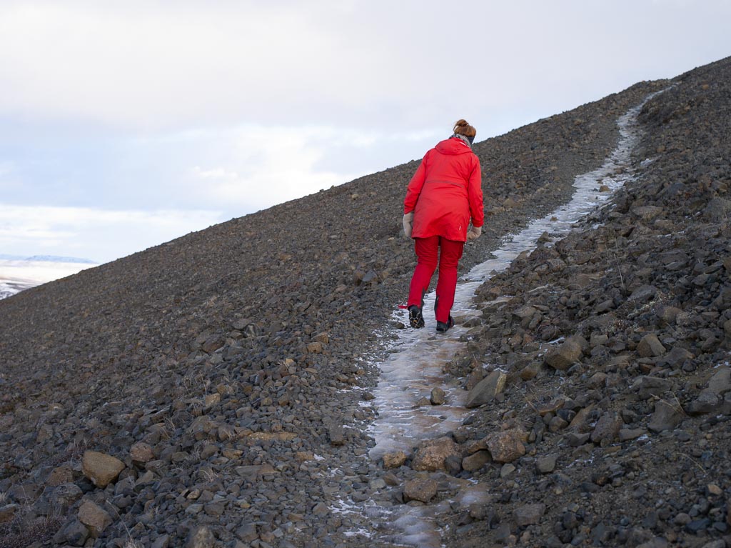 Pentax 645D / 27 Pentax 645D   27