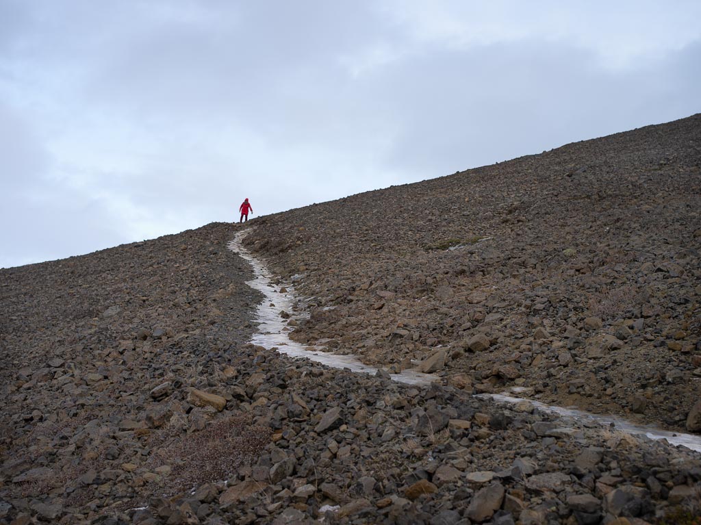 Pentax 645D / 27 Pentax 645D   27