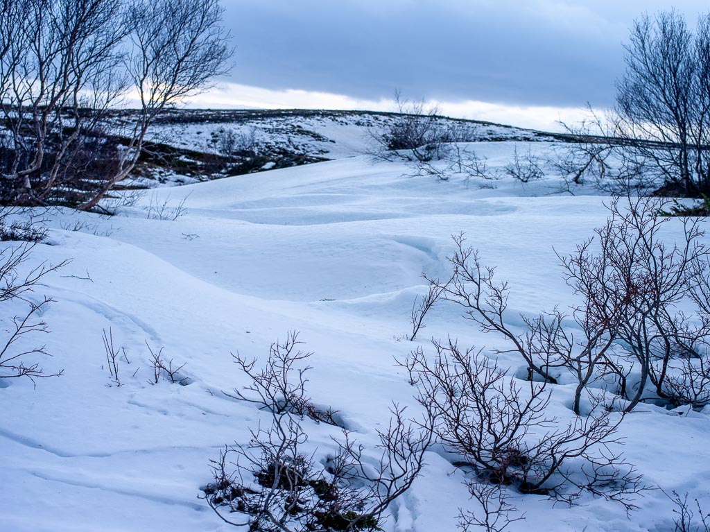 Pentax 645D / 27 Pentax 645D   27