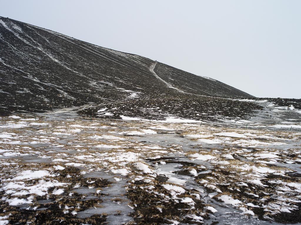 Pentax 645D / 31 Pentax 645D   31