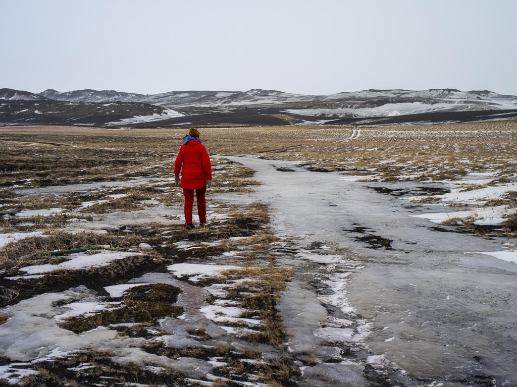 Pentax 645D / 31 Pentax 645D   31