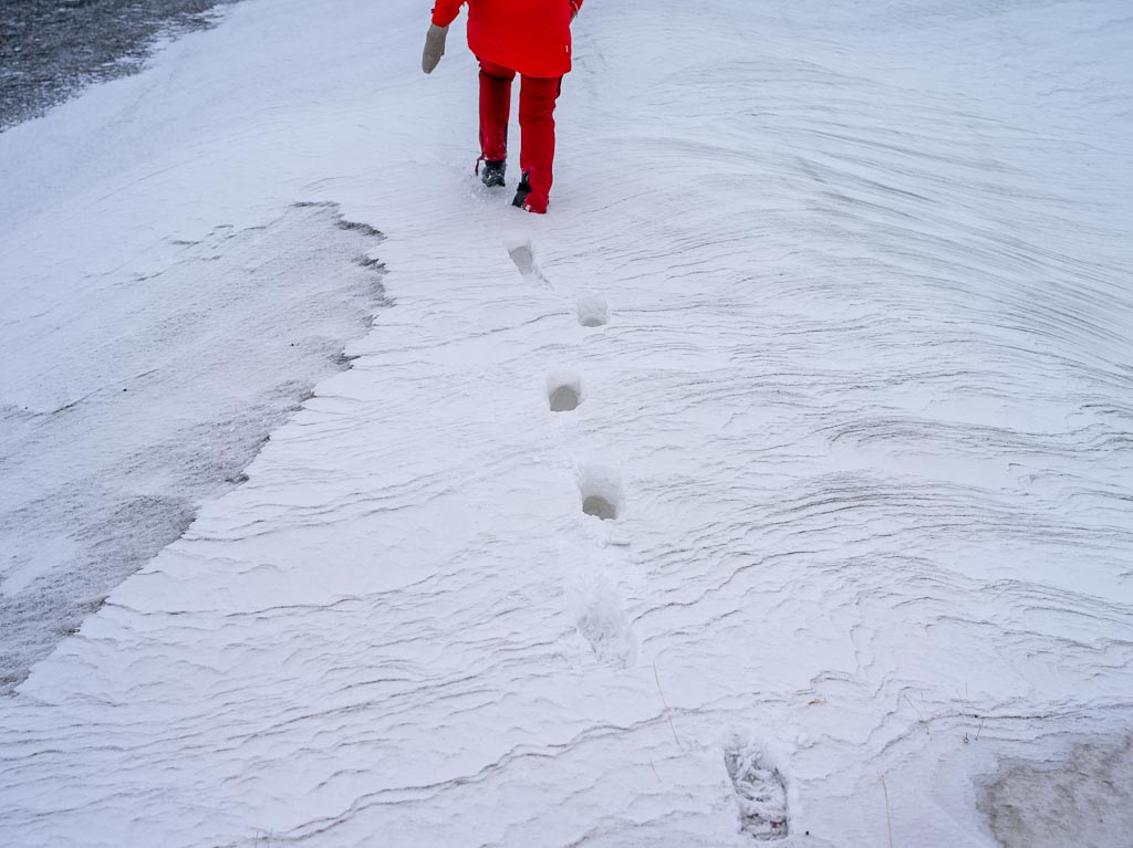 Pentax 645D / 31 Pentax 645D   31