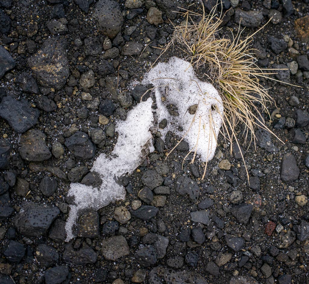 Pentax 645D / 31 Pentax 645D   31