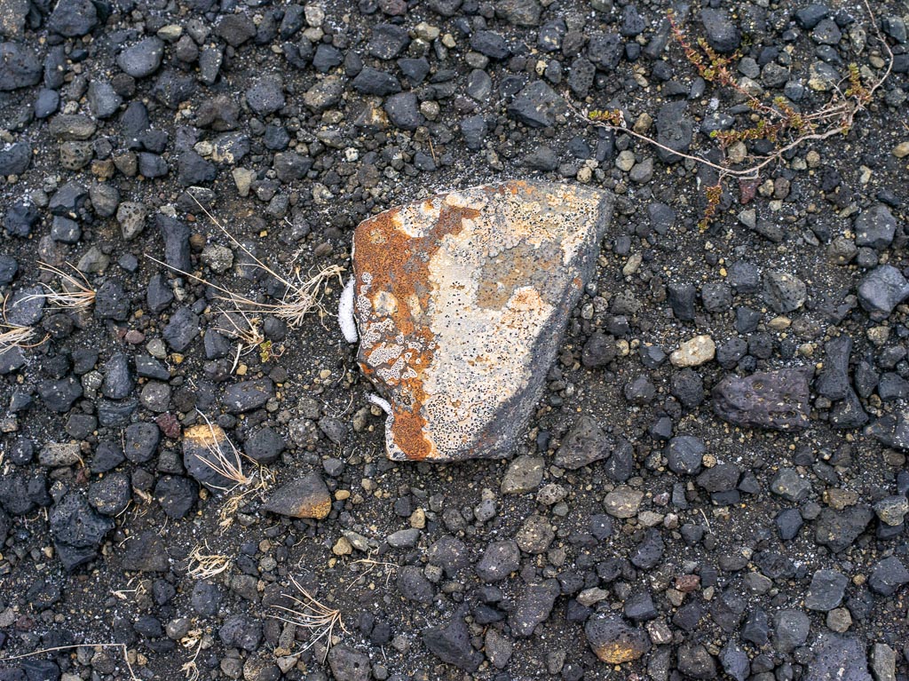 Pentax 645D / 31 Pentax 645D   31